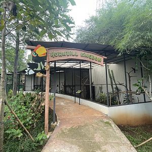 hornbill kingdom - aviary park