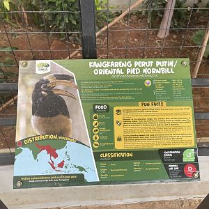 hornbill kingdom - oriental pied hornbill signage - aviary park