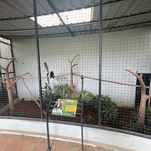 hornbill kingdom - wreathed hornbill aviary - aviary park