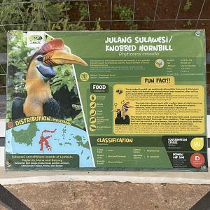 hornbill kingdom - knobbed hornbill signage - aviary park