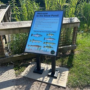 Show Pond Species (Wolf Lake State Fish Hatchery, Mattawan, MI, 8/7/25)