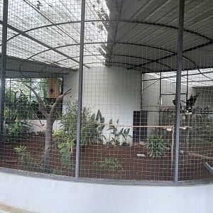 hornbill kingdom - rhinoceros hornbill & great argus aviary- aviary park