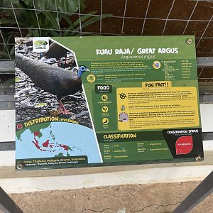 hornbill kingdom - great argus signage - aviary park
