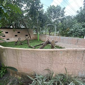 green iguana exhibit - aviary park