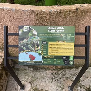 green iguana signage - aviary park