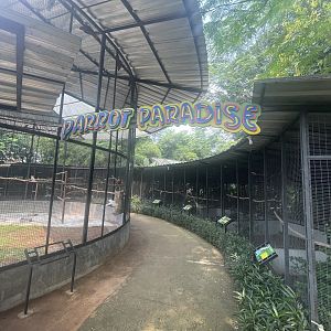 parrot paradise - aviary park