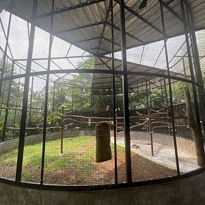 parrot paradise - giant aviary - aviary park