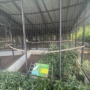 parrot paradise - yellow-crested cockatoo aviary - aviary park