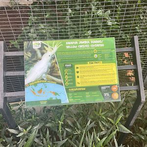 parrot paradise - yellow-crested cockatoo signage - aviary park