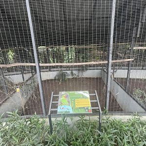 parrot paradise - ornate lorikeet aviary - aviary park