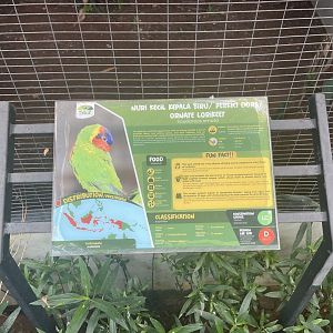 parrot paradise - ornate lorikeet signage - aviary park