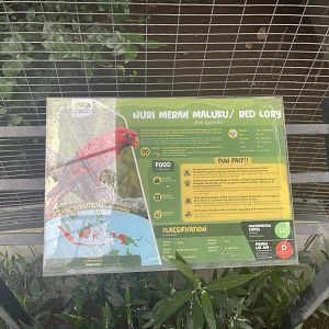 parrot paradise - red lory signage - aviary park