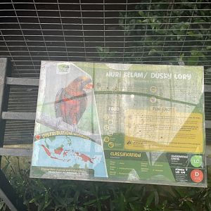 parrot paradise - dusky lory signage - aviary park