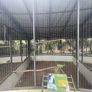 parrot paradise - white cockatoo aviary - aviary park