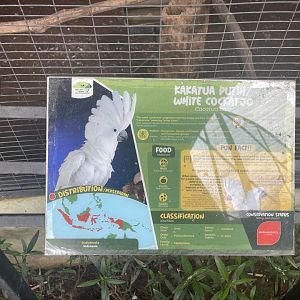 parrot paradise - white cockatoo signage - aviary park