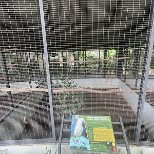 parrot paradise - salmon-crested cockatoo aviary - aviary park