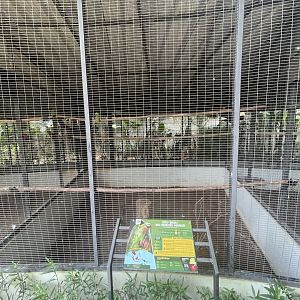parrot paradise - red-breasted parakeet aviary - aviary park