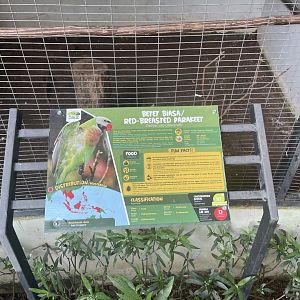 parrot paradise - red-breasted parakeet signage - aviary park