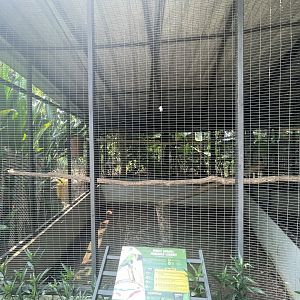 parrot paradise - marigold lorikeet aviary - aviary park