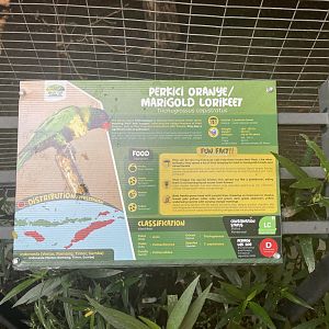 parrot paradise - marigold lorikeet signage - aviary park