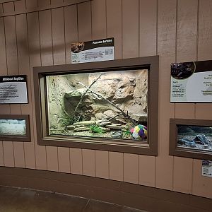 Tropics Building Terrariums