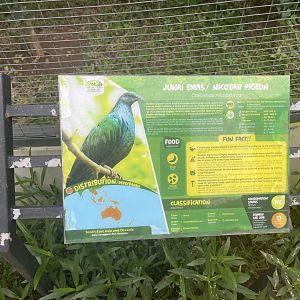 nicobar pigeon signage - aviary park
