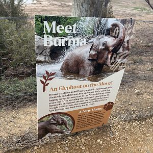 Meet Burma sign