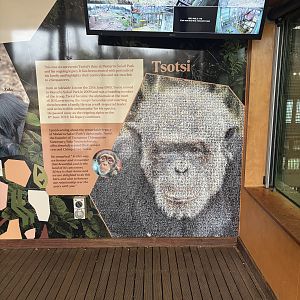 Tsotsi memorial