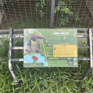 green aracari signage - aviary park