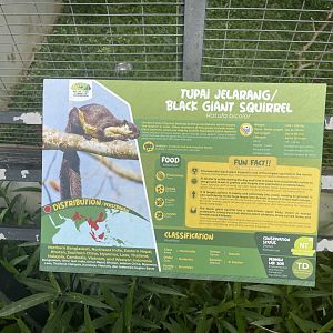 black giant squirrel signage - aviary park