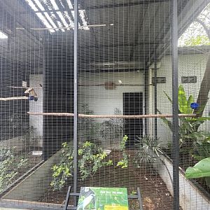 bali myna aviary - aviary park