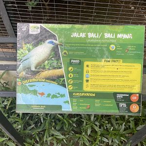 bali myna signage - aviary park