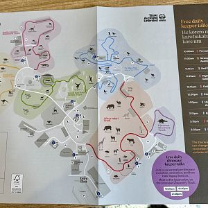 Auckland Zoo Map (2025)