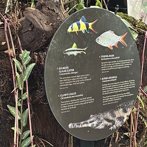 Tropical Dome - Species 2