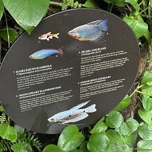 Tropical Dome - Species 3