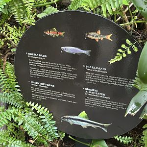 Tropical Dome - Species 4