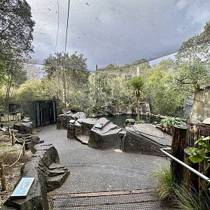 Little Blue Penguin Exhibit