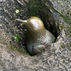 Little Blue Penguin Sculpture