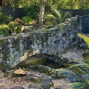 Tasmanian Devil Bridge