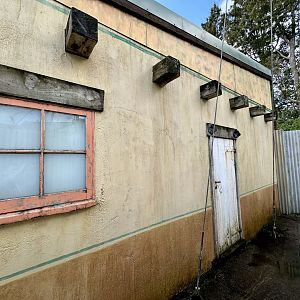 African Lion Den Building