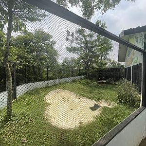 lesser flamingo exhibit - aviary park