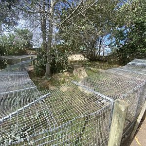 Tortoise enclosure