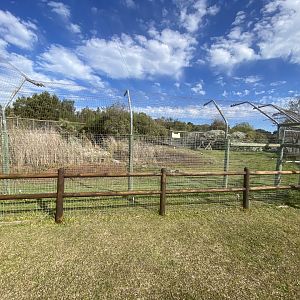 Part of African leopard enclosure