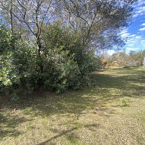 View 1 inside of serval enclosure