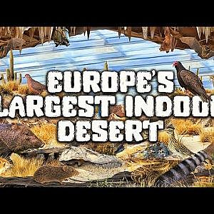 The Burgers' Desert | Zoo Tours