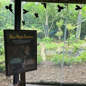 East Lodge Trail- Malayan Tiger exhibit