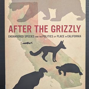 After the Grizzly: Endangered Species and the Politics of Place in California