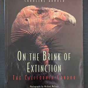 On the Brink of Extinction: The California Condor