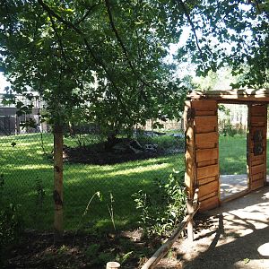 New Central African area Ngyuwe - First Pygmy hippopotamus and Western sitatunga exhibit, 2025-08-03