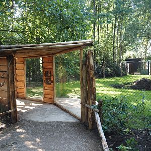 New Central African area Ngyuwe - First Pygmy hippopotamus and Western sitatunga exhibit viewing area, 2025-08-03